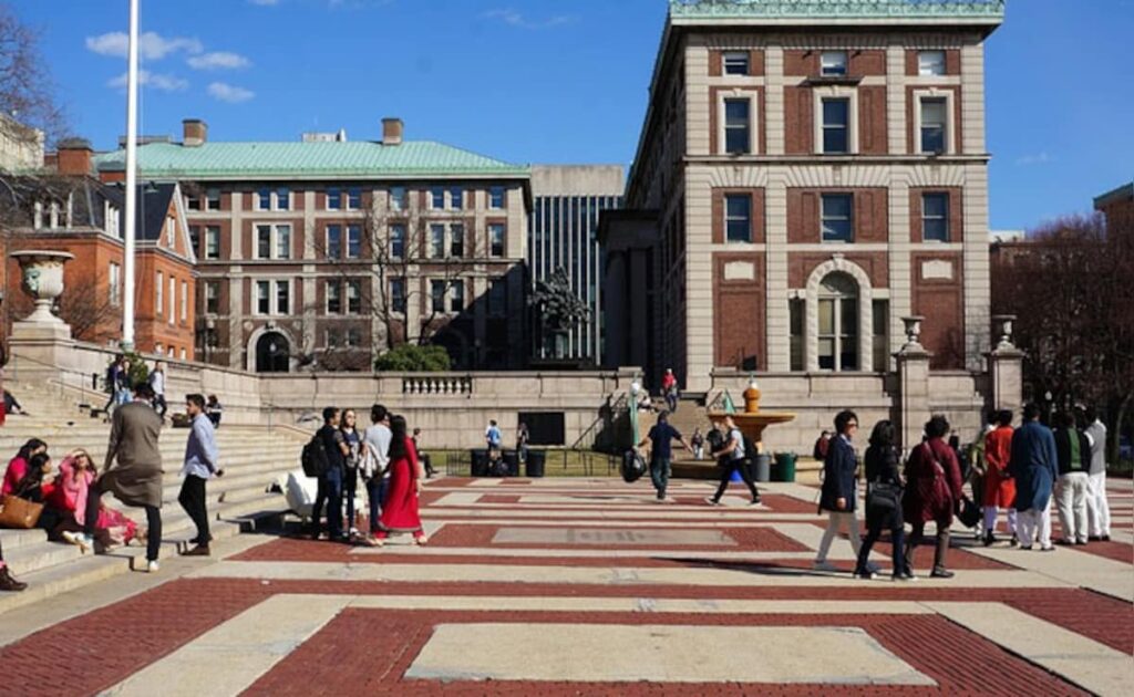 Opinion: Blog | 'Future At Stake': Why Indian Students In US Aren't Going Home This Summer