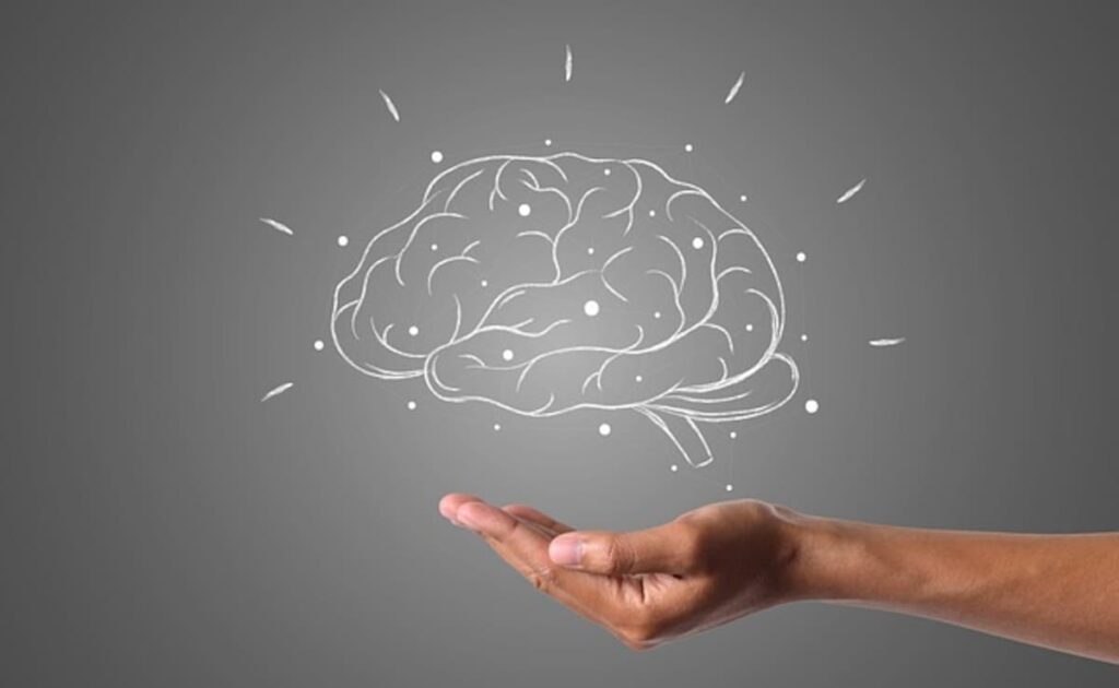 Study Finds New Genetic Disorder Impacts Brain Development In Children