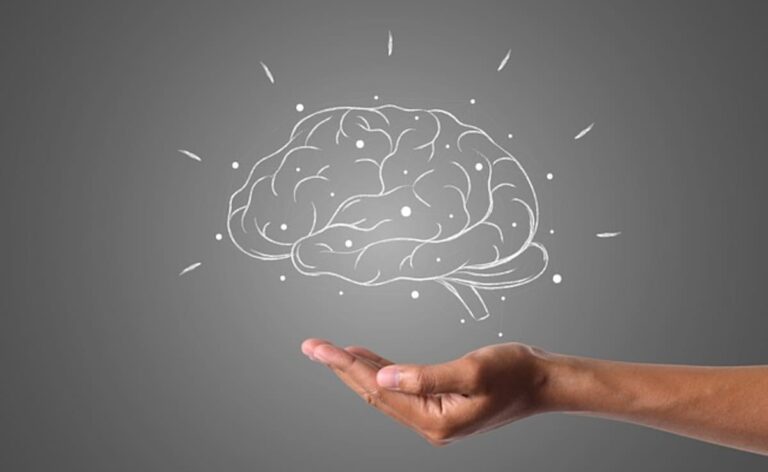 Study Finds New Genetic Disorder Impacts Brain Development In Children