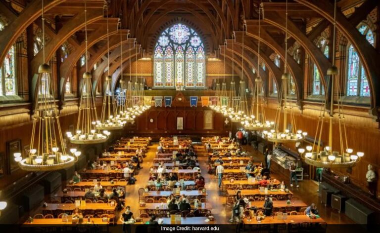 How To Apply To Harvard: Everything You Need To Know