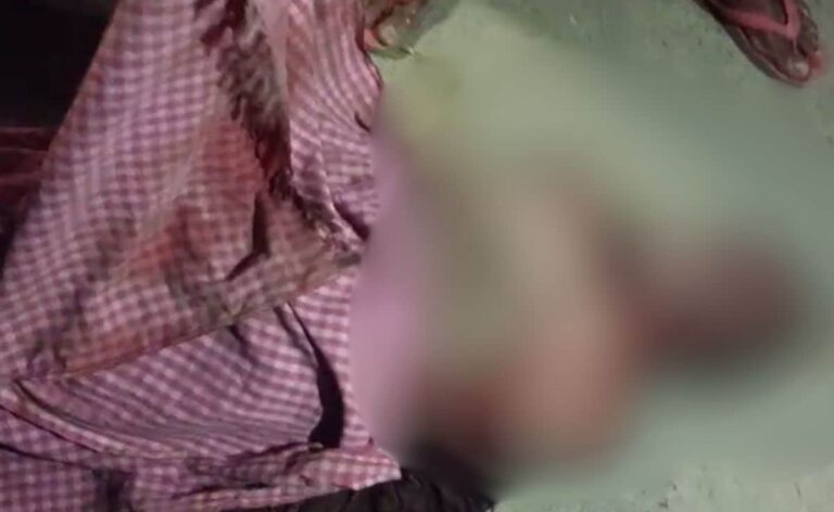 Stray Dogs Kill 13-Year-Old In Bihar, Gnaw Face Till Only Bones Are Visible