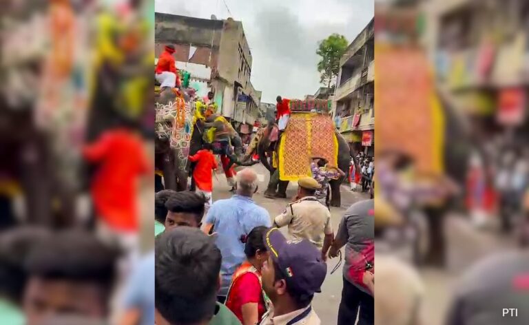 Man Injured As Elephant Runs Wildly At Ahmedabad's Rath Yatra
