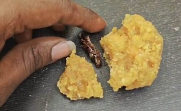Man Says He Found Cockroach In Andhra Temple 'Laddoo', Official Denies Claim