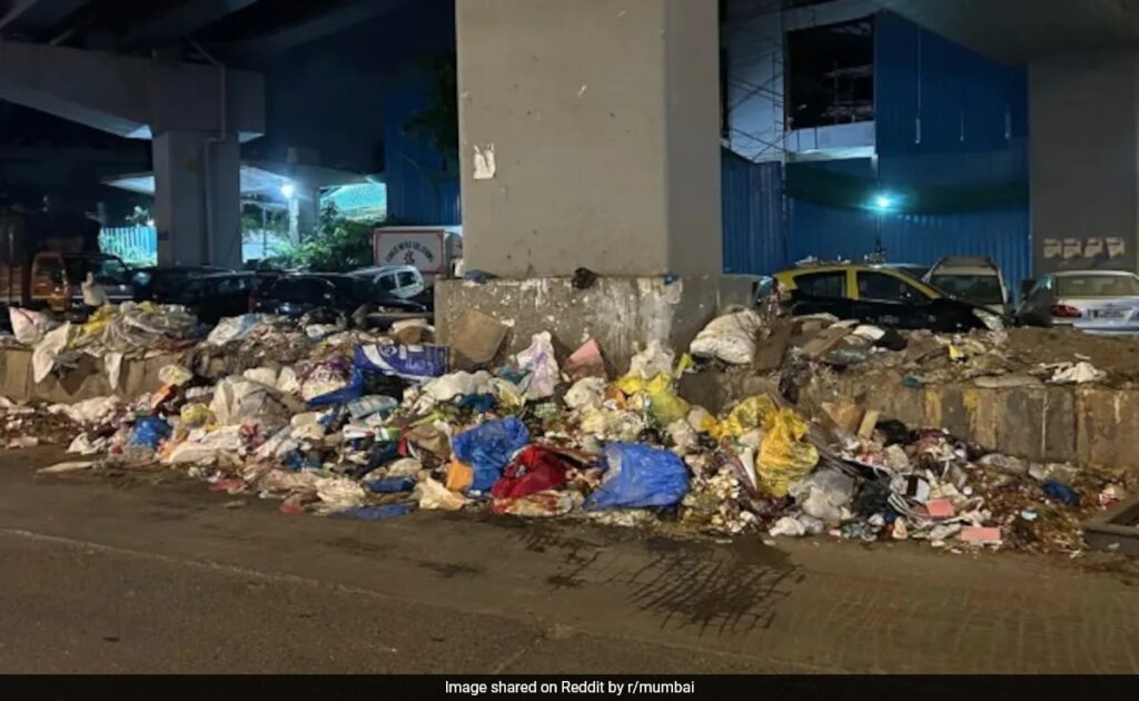 Reddit User Posts Pics Of Garbage Dumped On Mumbai Roads: "Serious Health Hazard"