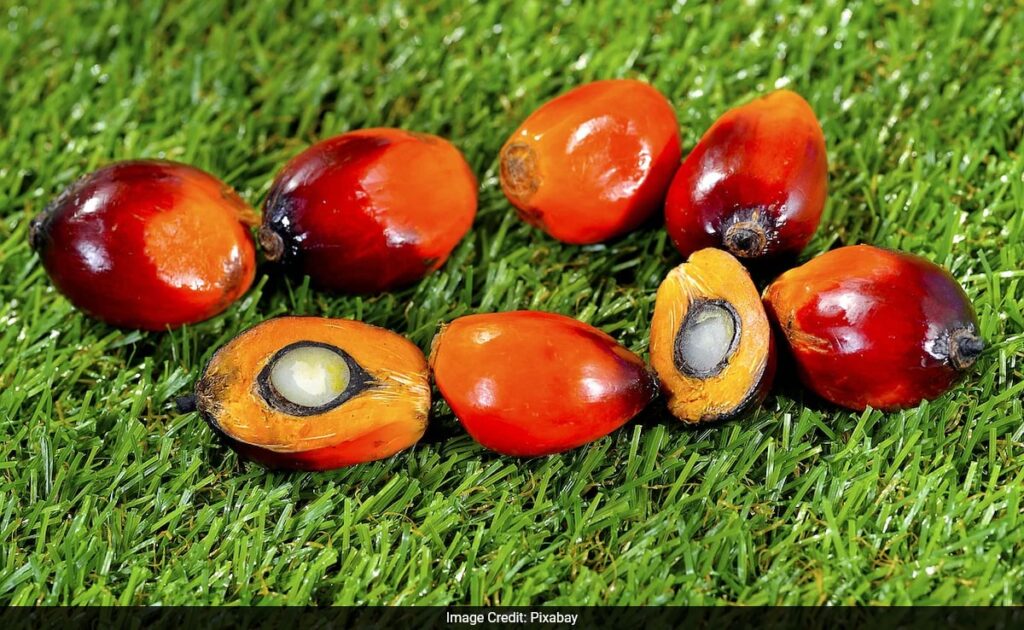 India Become Top Buyer Of Malaysia's Oil Palm Seed