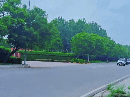 पूर्व मंत्री मजीठिया की हिरासत 2 अगस्त तक बढ़ी:पंजाब सीएम को भेजा संदेश-सिरहाने के नीचे हाथ देकर सो रहा हूं; दिल्ली-चंडीगढ़ में छापेमारी