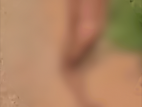 एक्स गर्लफ्रेंड को अश्लील मैसेज भेजा तो कपड़े उतारकर पिटाई:नए बॉयफ्रेंड और उसके दोस्तों ने मारा; 8 आरोपी गिरफ्तार