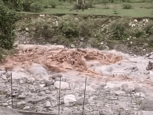 पुष्पा स्टाइल में बही लकड़ियों की CID जांच के निर्देश:CM बोले- पंडोह डैम केस में सच्चाई सामने आना जरूरी; गवर्नर जता चुके आपत्ति