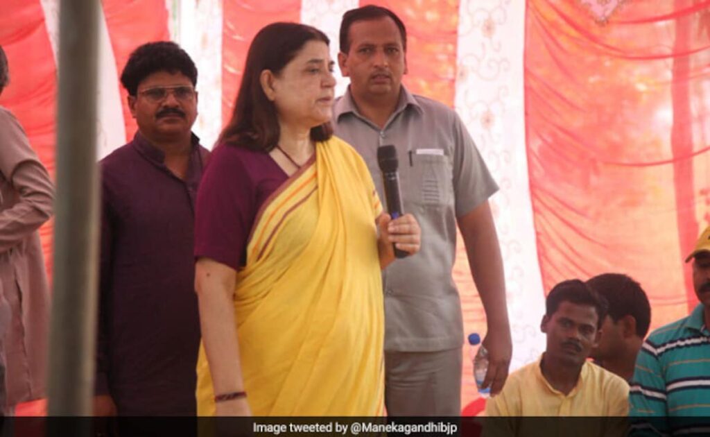 "Impractical, Financially Unviable": Maneka Gandhi On Top Court's Stray Dogs Order