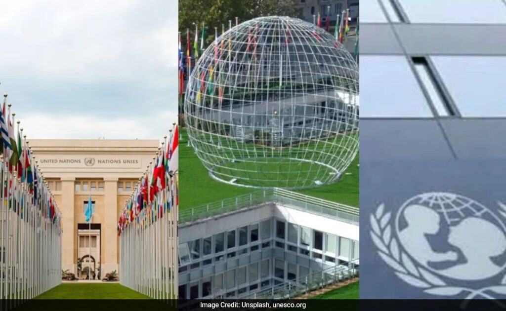 How To Get A Job At UN Bodies: A Step-By-Step Guide