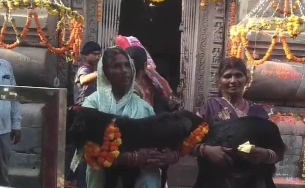 This Ancient Temple In Bihar Practices Rare Bloodless Sacrifice