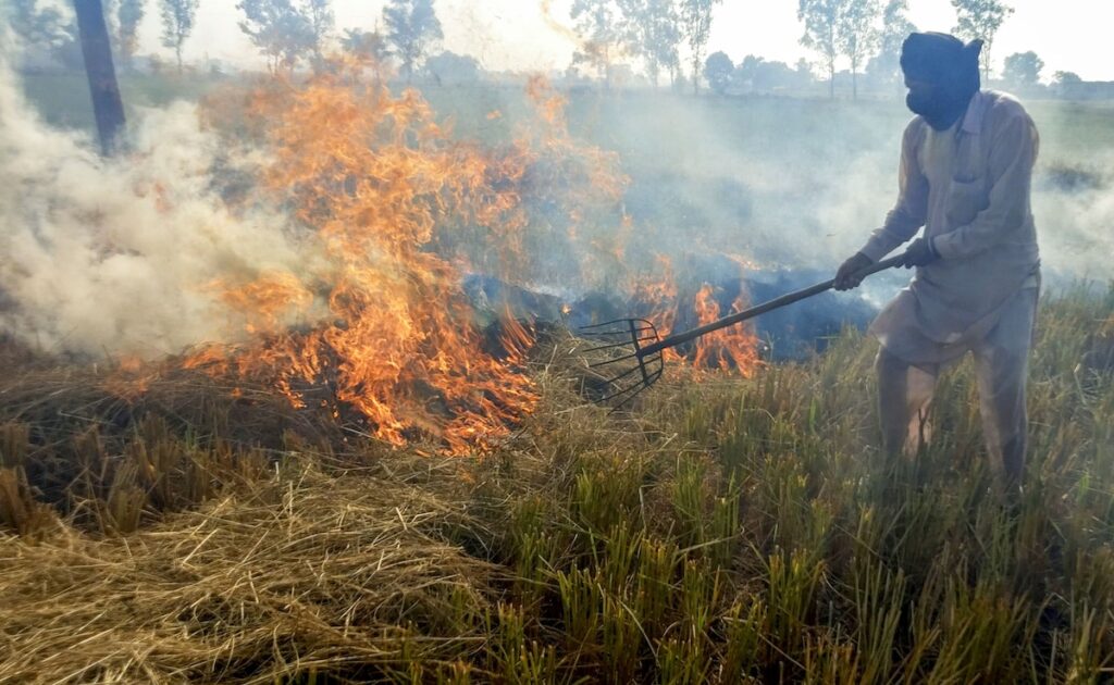 As Winter Looms, Pollution Body Takes Steps To Curb Stubble Burning