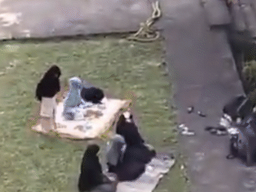 पुणे के शनिवारवाड़ा में नमाज, FIR:हिंदू संगठनों ने शुद्धिकरण किया था, महाराष्ट्र के मंत्री बोले- हाजी अली में हनुमान चालीसा पढ़ना कैसा लगेगा