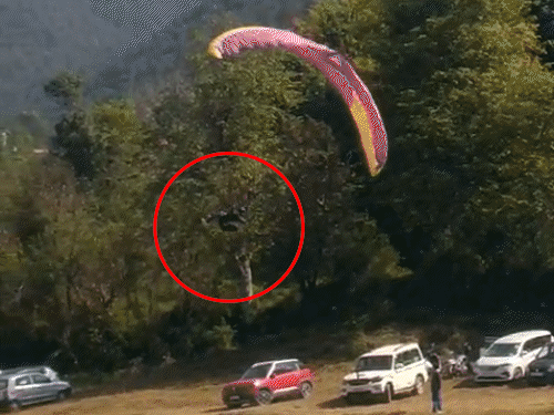 हिमाचल में पैराग्लाइडिंग करते वक्त पायलट गिरा:हवा में पैराग्लाइडर का संतुलन बिगड़ने से हादसा; 7 देशों के 59 पायलट ले रहे भाग