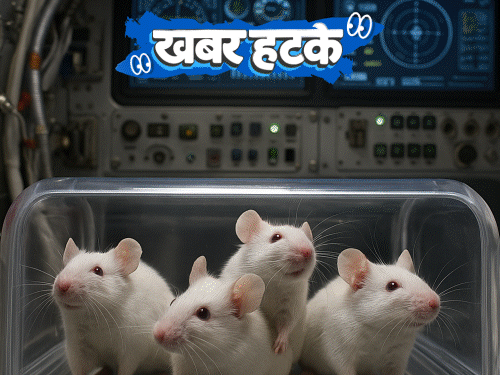 खबर हटके- डोनाल्ड ट्रम्प का आधार कार्ड बना:4 चूहे अंतरिक्ष के लिए निकले, अगला नंबर इंसानों का; देखिए 5 रोचक खबरें