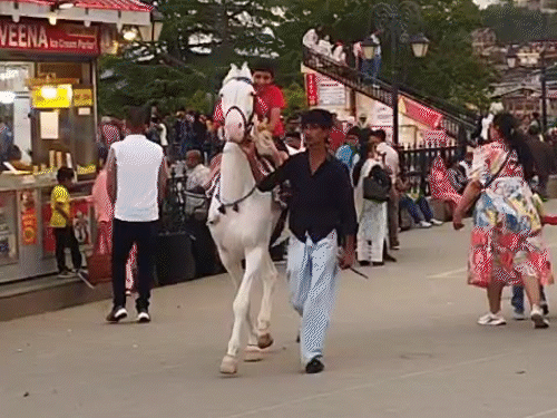 हिमाचल में 5 दिन मौसम साफ रहने के आसार:ताबो ​​​​​​​का तापमान -2 डिग्री, पर्यटन स्थलों पर बढ़ी टूरिस्टों की भीड़