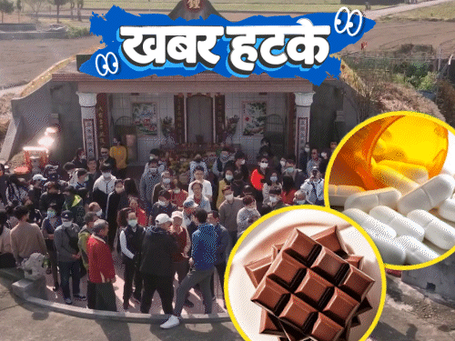 खबर हटके- पेड़ों से बातचीत करने वाली अनोखी मशीन:GenZ मुर्दाघर में चढ़ा रहे दवाई और चॉकलेट; देखिए 5 रोचक खबरें