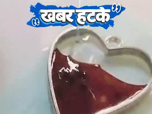 खबर हटके- मशरूम जैसे पेड़ से निकल रहा खून:ज्वेलरी बनवाने के लिए खून निकलवा रहे युवा; देखिए 5 रोचक खबरें