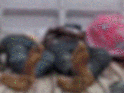 पूर्णिया में वंदे भारत से कटकर 4 भाइयों की मौत:एक गंभीर; ट्रैक पार कर रहे थे, अचानक ट्रेन आ गई, मेला देखकर लौट रहे थे