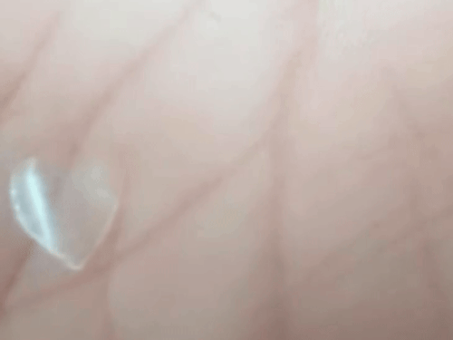 अमित शाह के प्रोग्राम में खाने पर विवाद:आरोप-गुलाब जामुन खाते ही स्टाफ के मुंह में कांच का टुकड़ा आया, फूड सेफ्टी ऑफिसर का इनकार