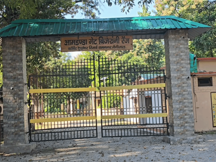 15 अक्टूबर से खुलेंगे जिम कॉर्बेट पार्क के 2 जोन:15 नवंबर से कर सकेंगे रात्रि विश्राम, होटल संचालकों में उत्साह