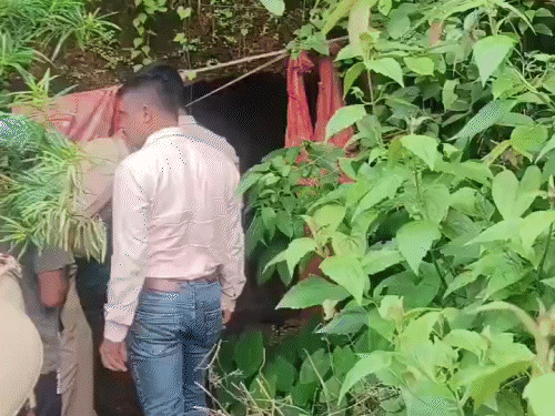 कर्नाटक में मिली रूसी महिला का केस:इजराइली कारोबारी ने बेटियों की कस्टडी मांगी थी; सुप्रीम कोर्ट ने पूछा- परिवार गुफा में, आप गोवा में क्यों थे