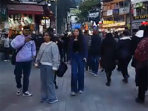 हिमाचल के 25 शहरों में तापमान 10°C से नीचे:मैदानी इलाके शिमला से ठंडे; मंडी-बिलासपुर में छाया कोहरा, रोहतांग पास को वाहनों की आवाजाही रोकी