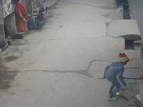 दिल्ली में पिटबुल का 6 साल के बच्चे पर अटैक-VIDEO:दांत से नोंचने पर कान कटकर नीचे गिरा, चेहरे पर 10 गहरे घाव; मालिक अरेस्ट