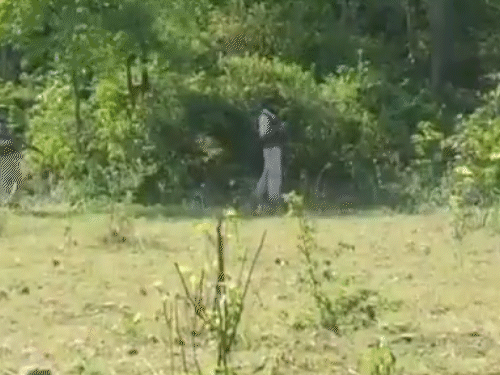 जम्मू-कश्मीर के उधमपुर में तीन संदिग्ध आतंकी दिखे:अवंतीपोरा में सर्च ऑपरेशन में आतंकियों का मददगार अरेस्ट, हथियार भी बरामद