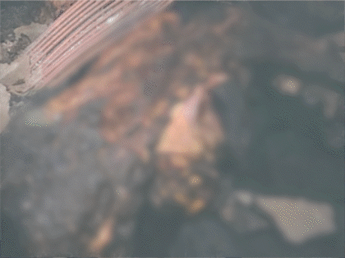 मुजफ्फरपुर में एक ही परिवार के 5 लोगों की मौत:5 झुलसे, देर रात लगी आग; सभी सोए थे, संभलने का मौका तक नहीं मिला