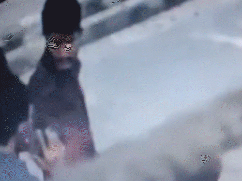 आतंकी उमर दिल्ली ब्लास्ट से 17 घंटे पहले नूंह गया:यही से विस्फोटक लेने का शक, फिर सुबह दिल्ली आया, शाम को ब्लास्ट; पढ़िए मिनट-टू-मिनट डिटेल