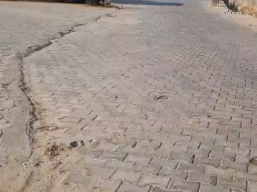 सिरसा थाने के बाहर धमाका करने वाले ‘26-गैंग’ की कहानी:बिच्छू गैंग छोड़ पुलिसकर्मी के बेटे ने बनाया नया ग्रुप; अब धमाके का मास्टर माइंड संभाल रहा