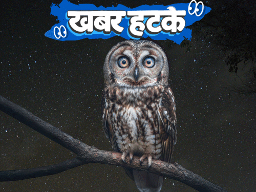 खबर हटके-तमिलनाडु में एलियन की पूजा, मंदिर में मूर्ति रखी:उल्लू की आंखों में ब्रह्माण्ड दिखा, डॉक्टर ने खोला राज; देखिए 5 रोचक खबरें