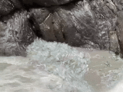 केदारनाथ में 17.68 लाख लोगों ने फैलाया 2300 टन कचरा:अब खच्चरों से लाएंगे, नीचे लाने में 25 करोड़ खर्च होंगे; जलाने पर बैन