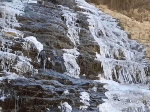 MP-छत्तीसगढ़ में अगले 2 दिन शीतलहर:4 राज्यों के कई जिलों में पारा 10° से नीचे; बद्रीनाथ में माइनस 16°, झरने और झीलें जमीं