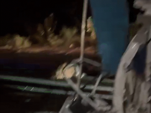 जोधपुर में ट्रक-टेम्पो की टक्कर में 5 श्रद्धालुओं की मौत:रामदेवरा दर्शन करने जा रहे थे, 12 लोग घायल, सभी जोधपुर रेफर