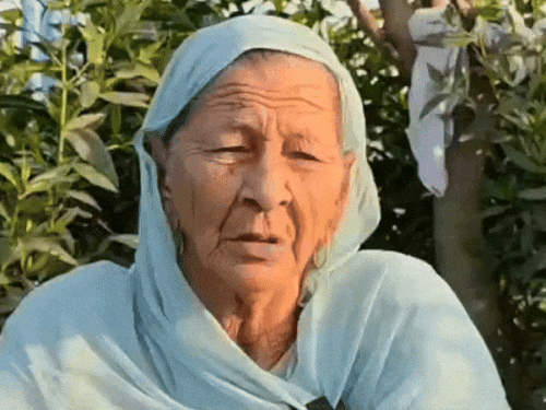 अंबाला वोटर लिस्ट में 223 वोटरों की एक फोटो:महिला बोली- वोटिंग के दिन लोग मजाक उड़ाते हैं; राहुल गांधी ने सच दिखाया