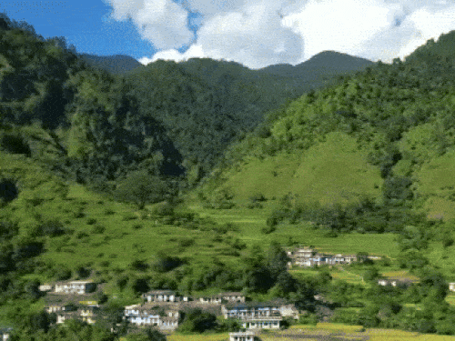 उत्तराखंड के गांव को उपचुनाव में भी नहीं मिलेगा प्रधान:राजी महिला के लिए था आरक्षण, पूरे गांव में एक भी नहीं मिली 8वीं पास