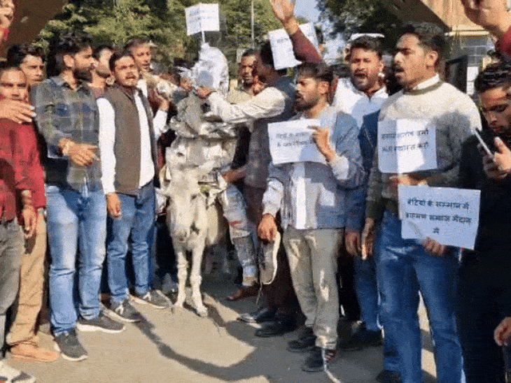 IAS अब Gen-Z के निशाने पर; पुतला गधे पर बैठाया:ब्राह्मण बेटियों के बयान को लेकर IAS वर्मा के पुतले को जूते-चप्पल से पीटा