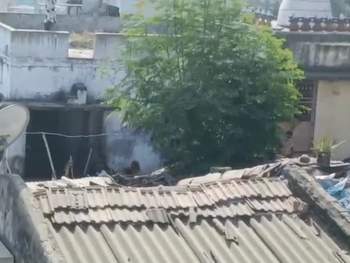 सोशल मीडिया पोस्ट पर अहमदाबाद में दो गुटों में पथराव:40 लोग गिरफ्तार; दो दिन में दो बार हिंसक झड़प, पुलिस बल तैनात