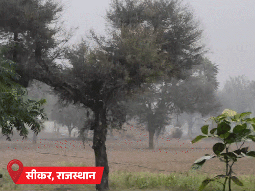 राजस्थान-MP के 37 शहरों में तापमान 10 डिग्री से नीचे:8 दिसंबर से और बढ़ेगी ठिठुरन; उत्तराखंड-हिमाचल में बर्फबारी का अलर्ट, केदारनाथ में -14° पारा