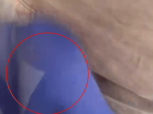 चंडीगढ़ में छात्रा से छेड़छाड़, बाइक राइडर गिरफ्तार:मनीमाजरा में छिपा था, टावर लोकेशन से पकड़ा; चलती बाइक पर हाथ से जांघ छू रहा था