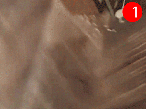 लुधियाना मैरिज पैलेस में गोलीकांड का VIDEO:DJ पर इलीगल वैपन सॉन्ग, 8 सेकेंड में 6 फायर; 'गोलियां चल पईयां' कहते भागे मेहमान