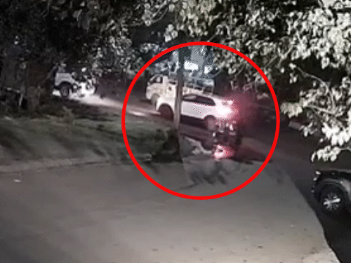 चंडीगढ़ में पैरी मर्डर का VIDEO सामने आया:गोली मारकर दोस्त पिछली गाड़ी में बैठा; लॉरेंस गैंग ने ली जिम्मेदारी, गोल्डी बोला- गद्दार, धोखे से मरवाया