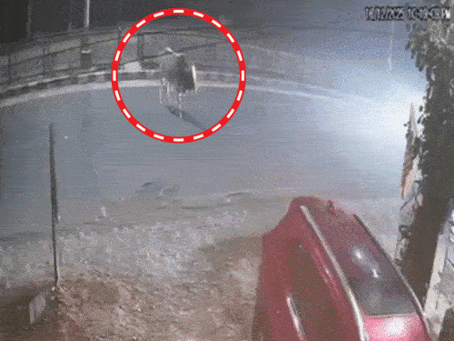 ऋषिकेश में XUV ट्रक में घुसी, 4 दोस्तों की मौत...CCTV:120 की स्पीड, शव सीट से चिपके; एक की पत्नी गर्भवती