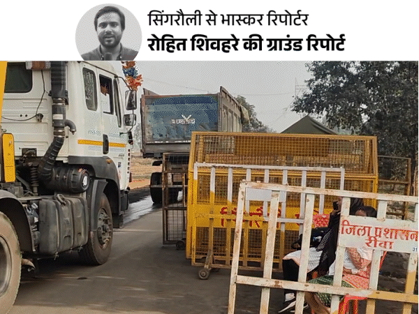 उद्योगपति के लिए काटे जा रहे 6 लाख पेड़:विरोध किया तो 66 पर केस; भास्कर रिपोर्टर रात 3 बजे कटाई क्षेत्र में घुसा