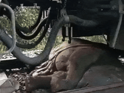 उत्तराखंड में ट्रेन से कटकर हाथी के बच्चे की मौत:यात्री घबराकर नीचे उतरे, 6 ट्रेनें लेट; दो घंटे तक खड़ी रही हावड़ा दून एक्सप्रेस