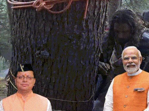 उत्तराखंड में गंगोत्री हाईवे परियोजना के खिलाफ RSS:एनवायरमेंटलिस्ट बोले- 7 हजार देवदार के पेड़ कटेंगे, मां गंगा सूख जाएगी, बर्फबारी नहीं होगी