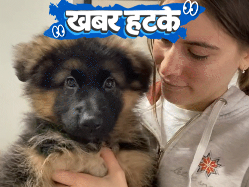 खबर हटके- किताब पढ़ने वाले अपराधियों की सजा माफ:कुत्ता पालने के लिए परीक्षा पास करना जरूरी हुआ; पंजाब में खाली बैठने की प्रतियोगिता