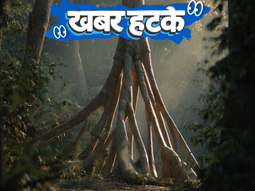 खबर हटके-भारत में डोनाल्ड ट्रम्प के नाम पर होगी सड़क:धूप के लिए जंगलों में टहलता पेड़; पटना में बिक रही 15 करोड़ की किताब